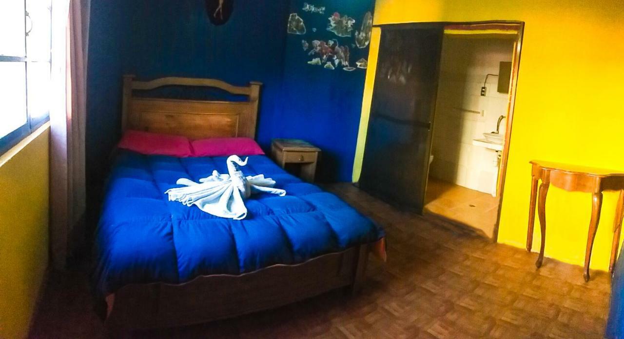 Wooden Wasi Hostel 拉巴斯 外观 照片